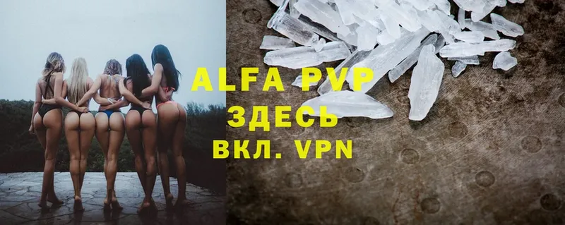 A-PVP СК Выборг